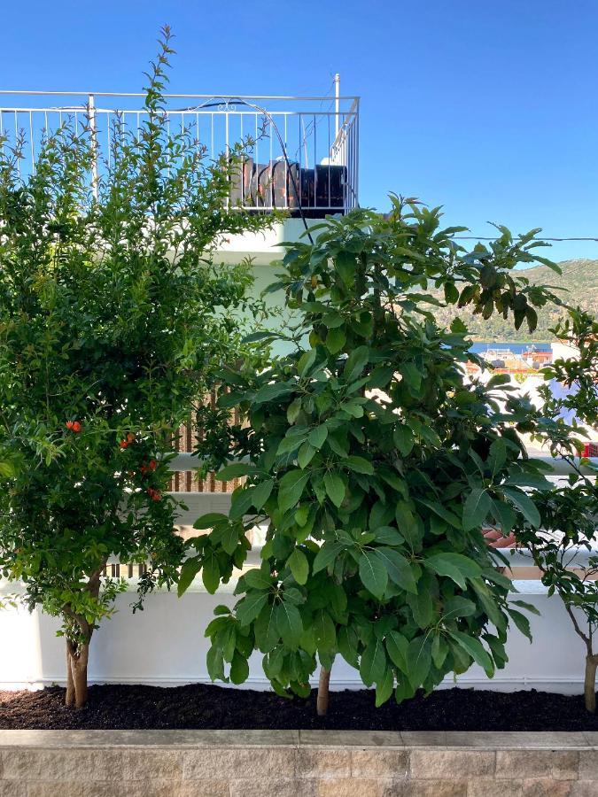 Citrus Apartment Argostoli  Luaran gambar